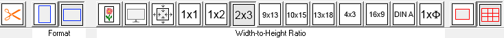 Standard button bar to define the crop area layout and aspect ratio