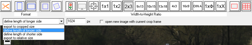 Expert mode button bar - with additional options to define a specific width or height for the cropped image